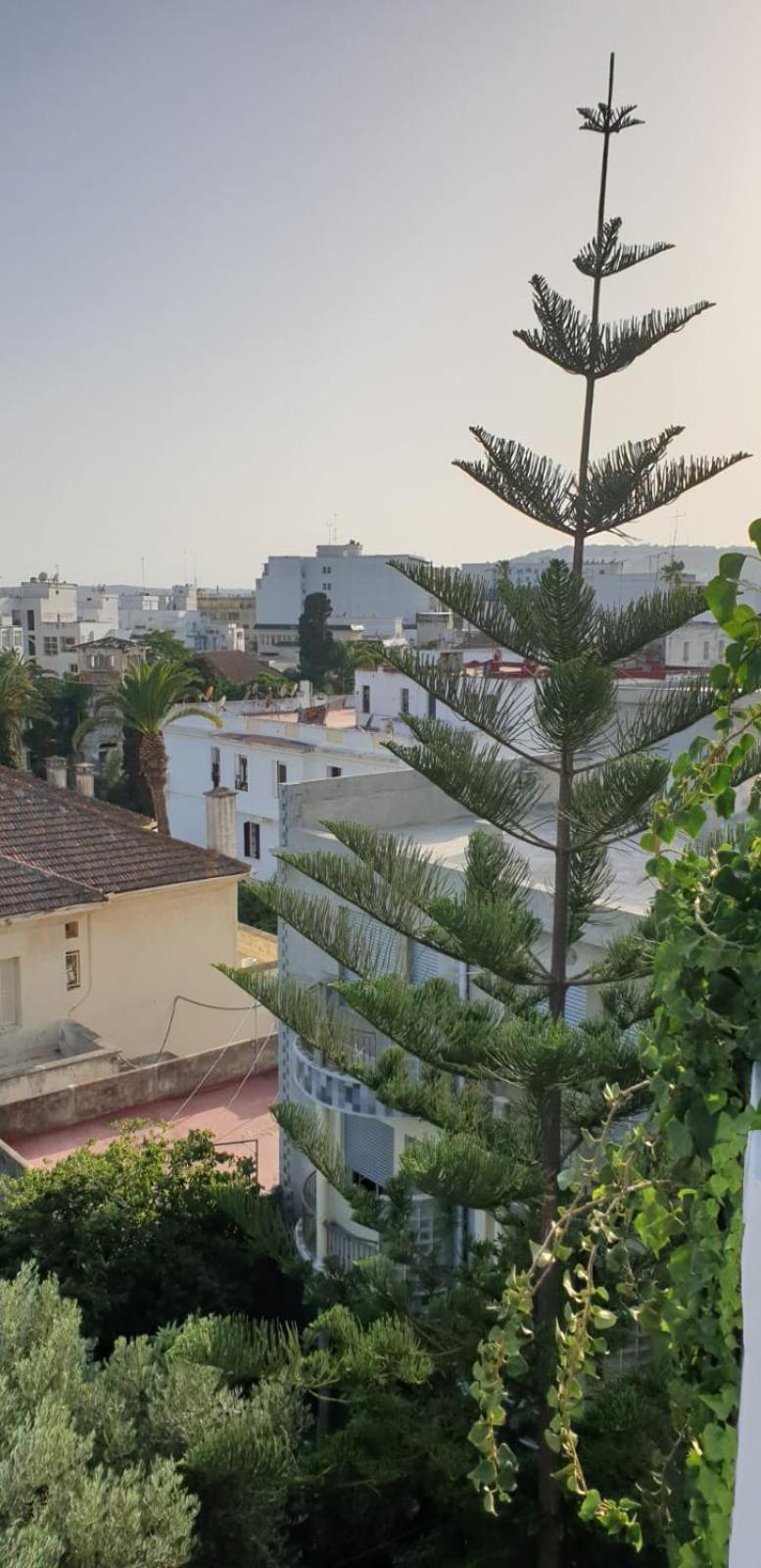 Guesthouse Kasbah Old Medina Tanger Exterior foto